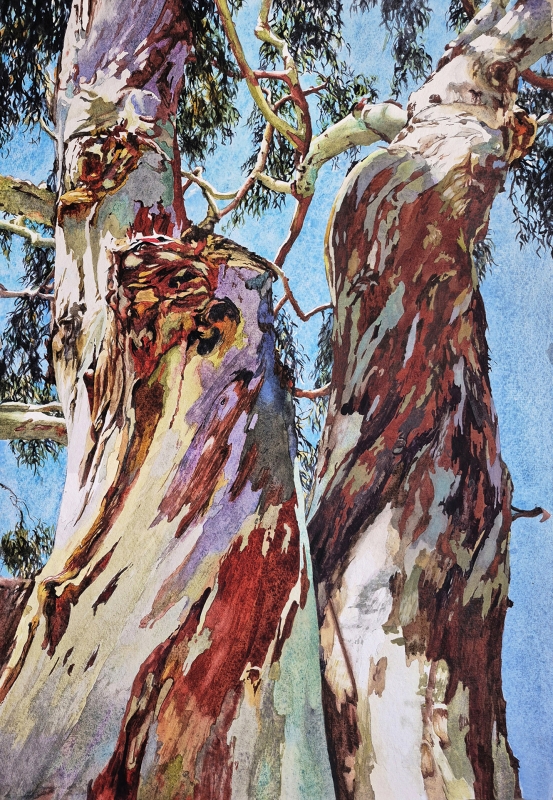 <em>Entwined</em> by Robin Erickson <em>Entwined</em> by Robin Erickson