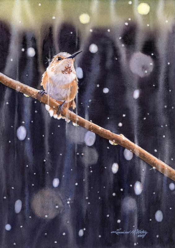 <em>Rainy Day Rufous</em> by Lorraine Watry <em>Rainy Day Rufous</em> by Lorraine Watry