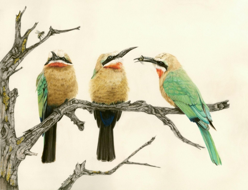 <em>The Bee's Knees </em> by Jen Crenshaw <em>The Bee's Knees </em> by Jen Crenshaw